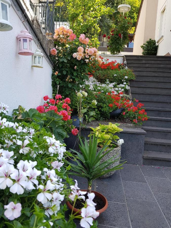 Gartenstudio Anila I. Und Ii. * Cochem