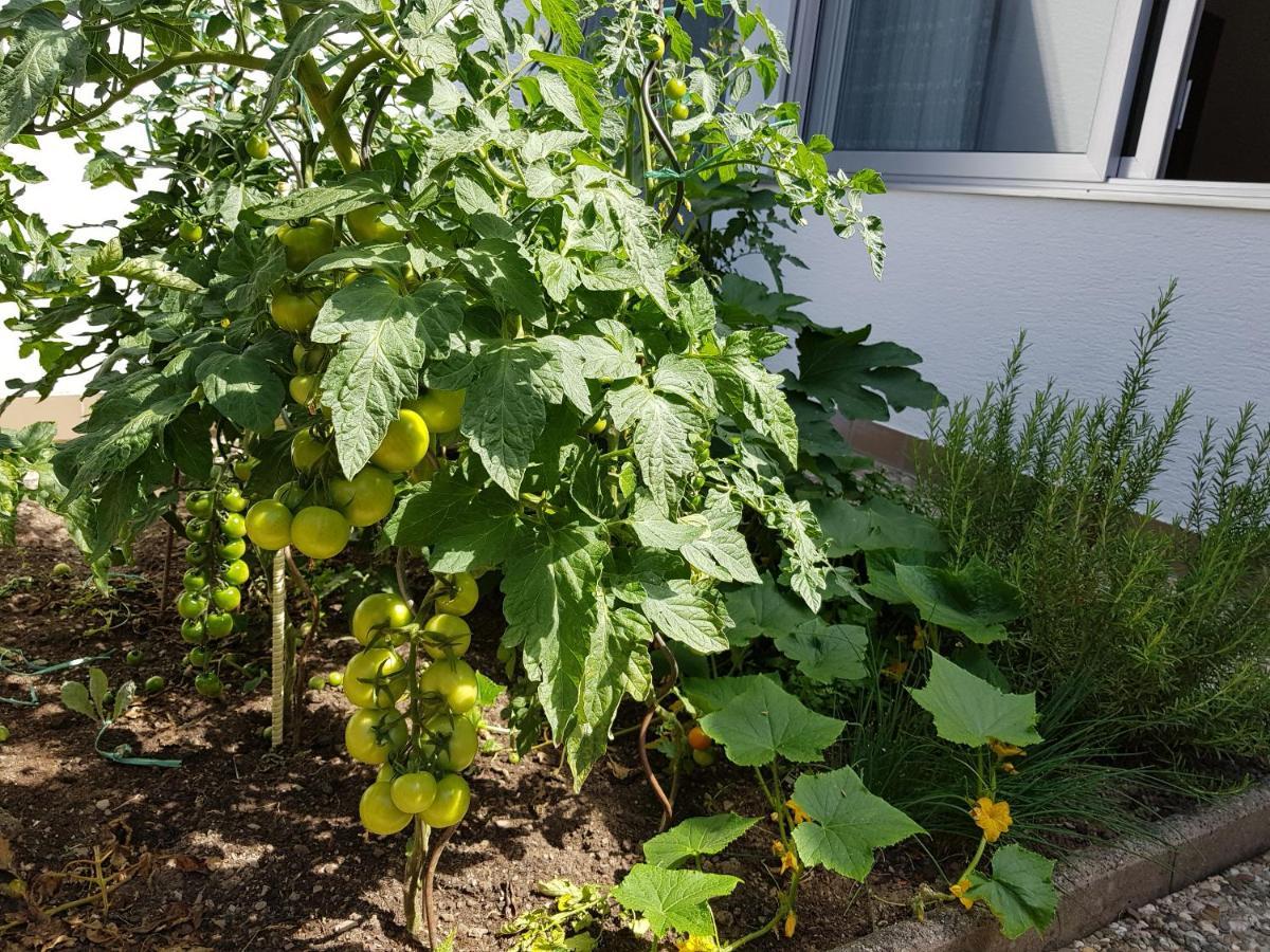 Gartenstudio Anila I. Und Ii. * Cochem