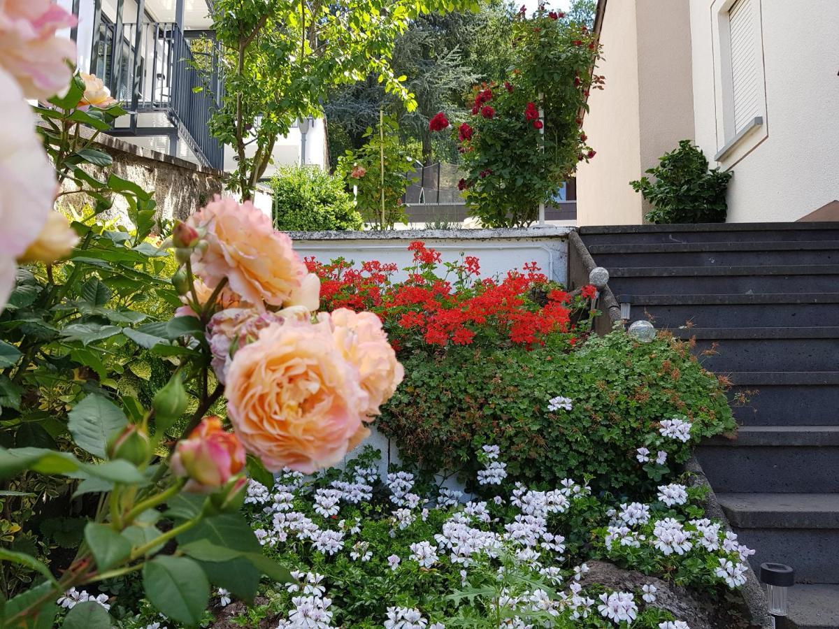 Gartenstudio Anila I. Und Ii. * Cochem
